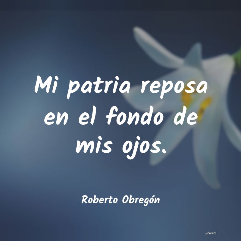 frases de Roberto ObregÃ³n
