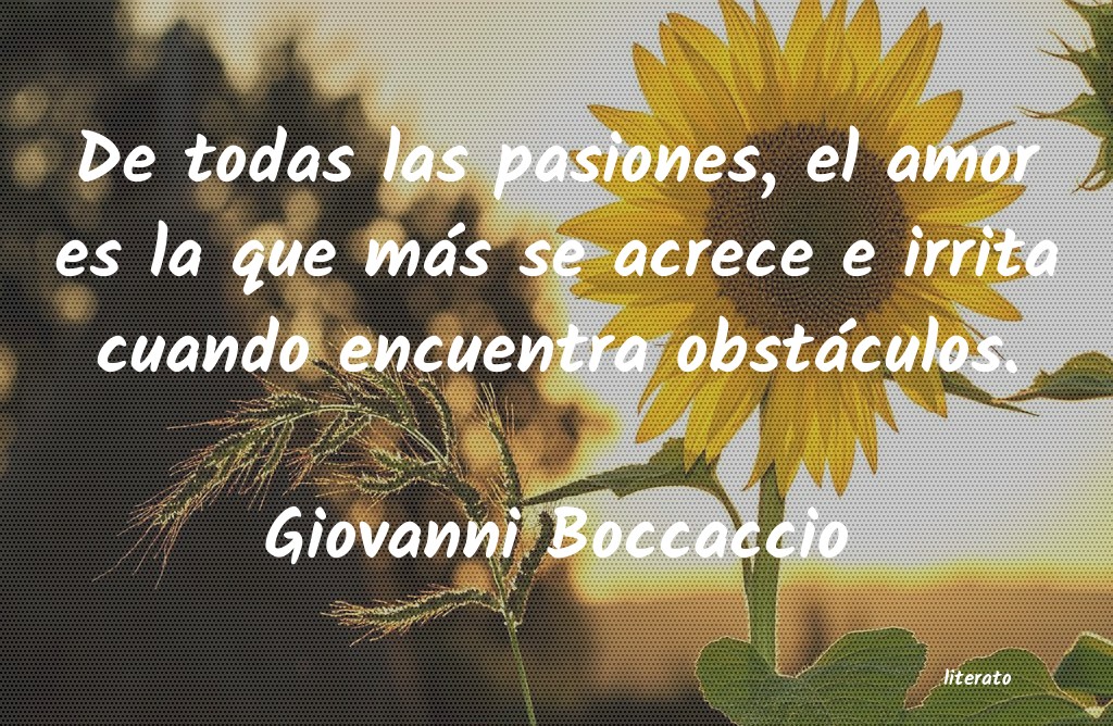 Frases de Giovanni Boccaccio