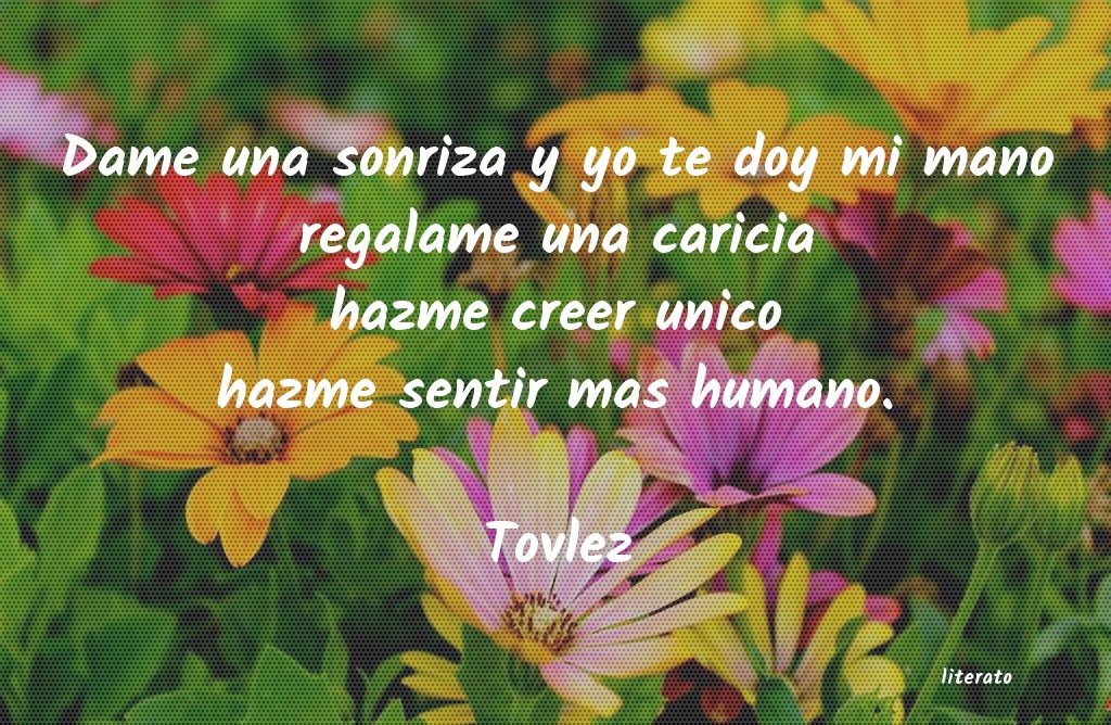 Frases de Tovlez