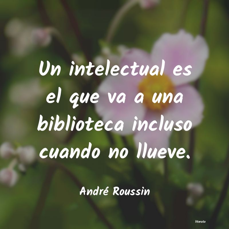 Frases de André Roussin