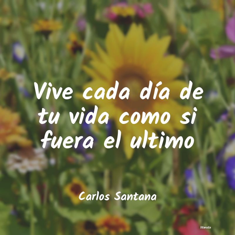 frases de Carlos Santana