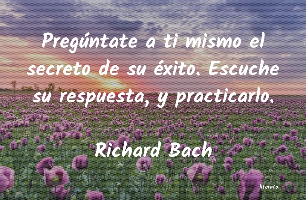 richard bach nunca te conceden un deseo