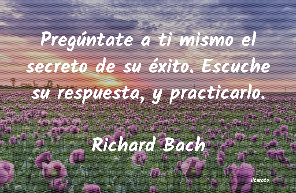 Frases de Richard Bach