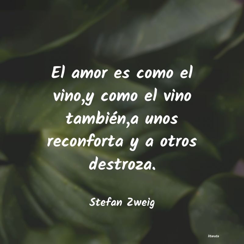 frases de Stefan Zweig