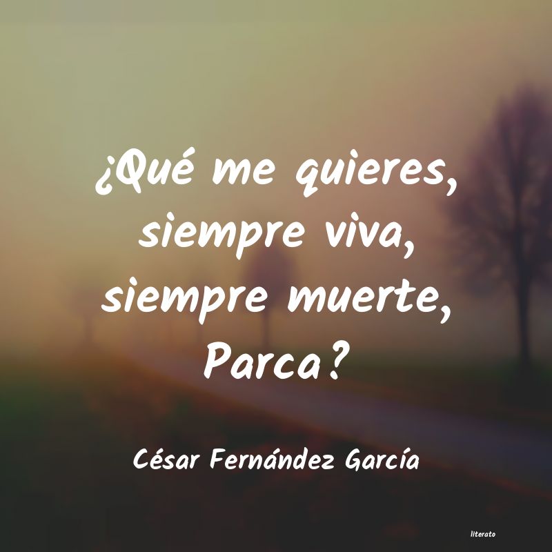 Frases de César Fernández García