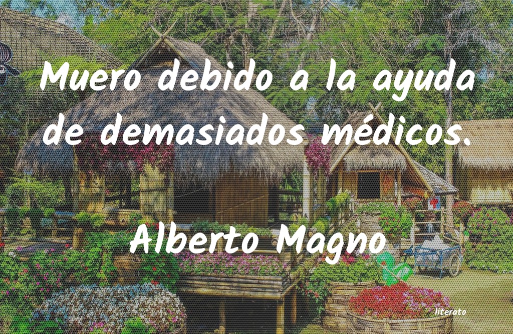 frases de Alberto Magno