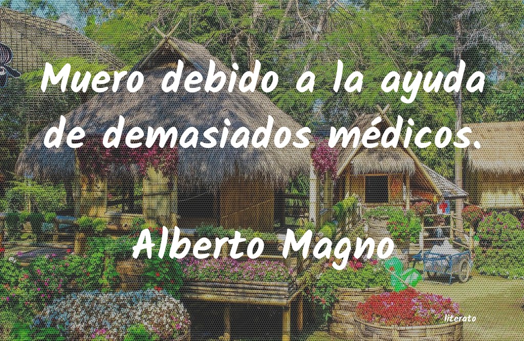 Frases de Alberto Magno