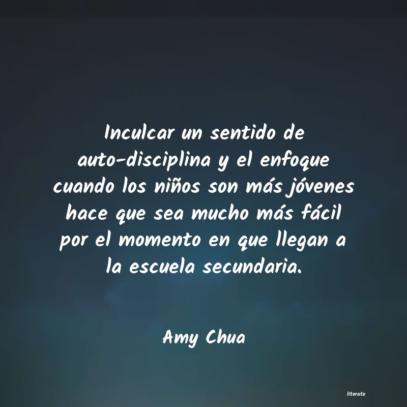 frases de Amy Chua