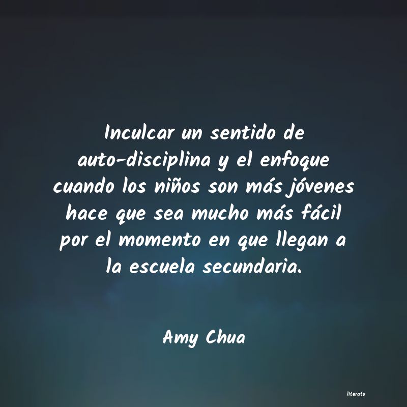 Frases de Amy Chua