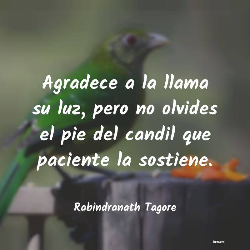 Frases de Rabindranath Tagore