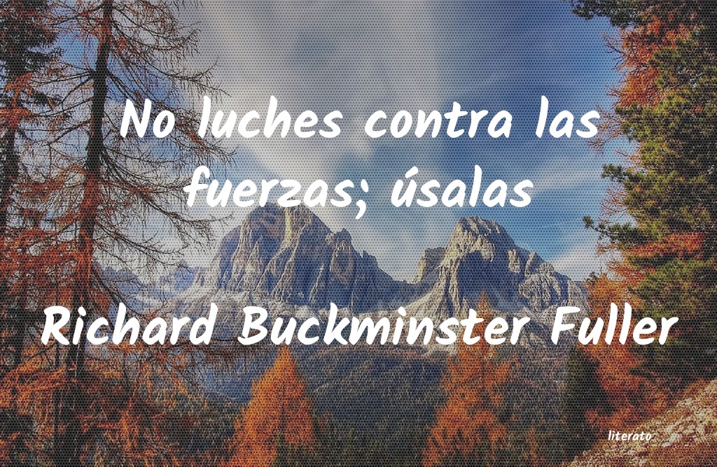 Frases de Richard Buckminster Fuller