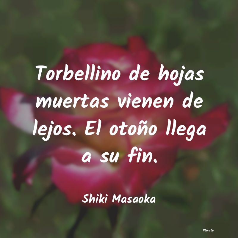 frases de Shiki Masaoka