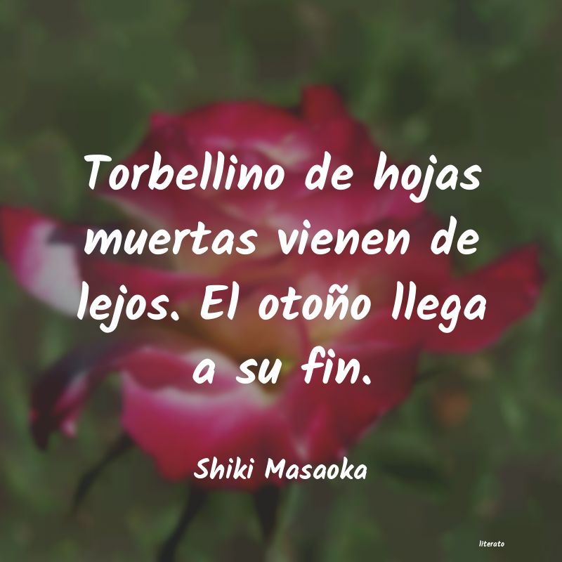 Frases de Shiki Masaoka