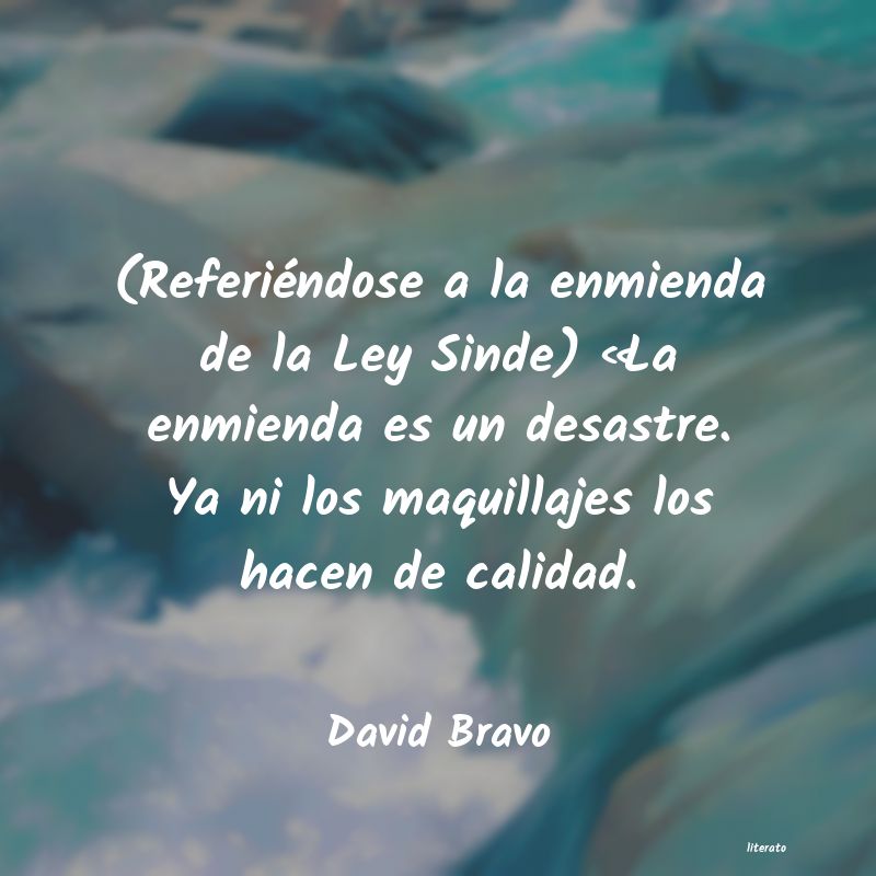 Frases de David Bravo