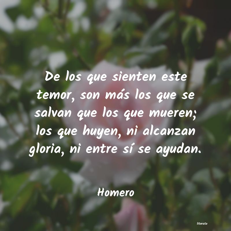 frases de Homero