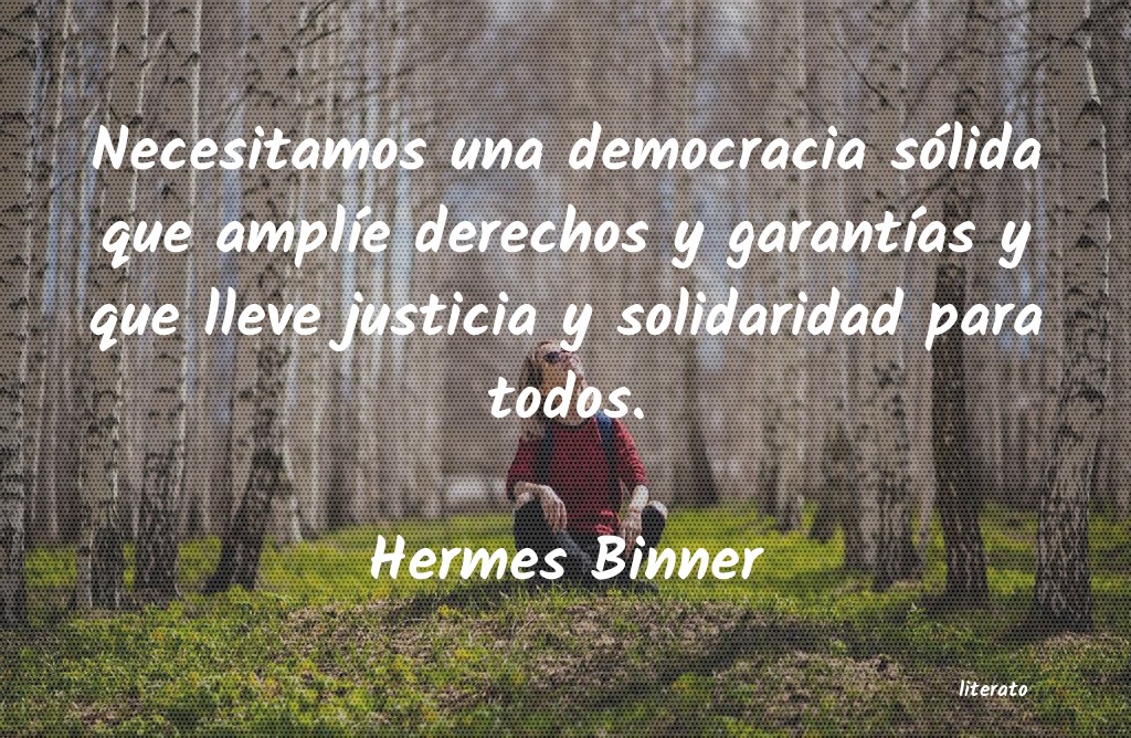 frases de Hermes Binner