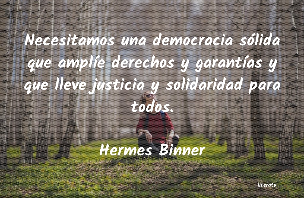 Frases de Hermes Binner