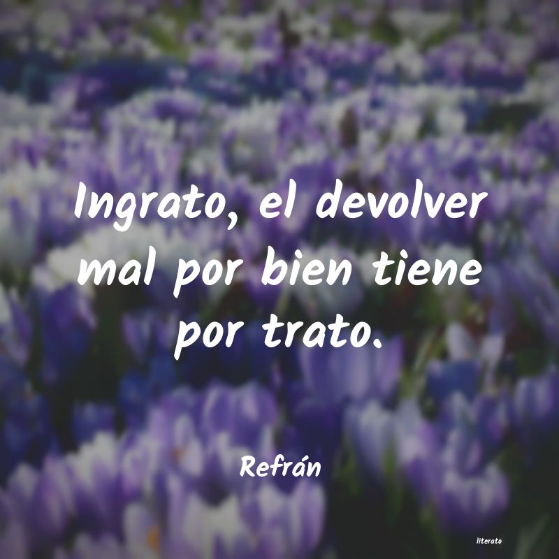 frases de Refrán