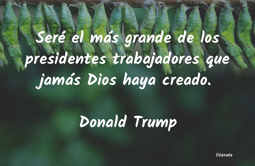 frases de Donald Trump