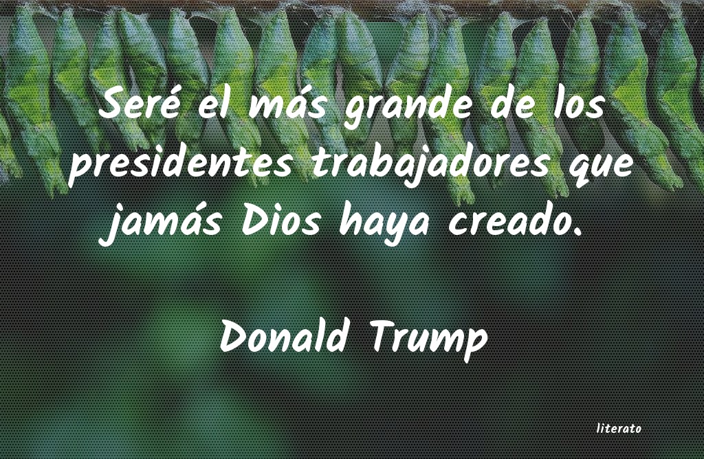 Frases de Donald Trump