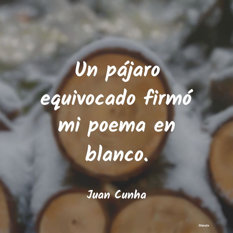 frases de Juan Cunha