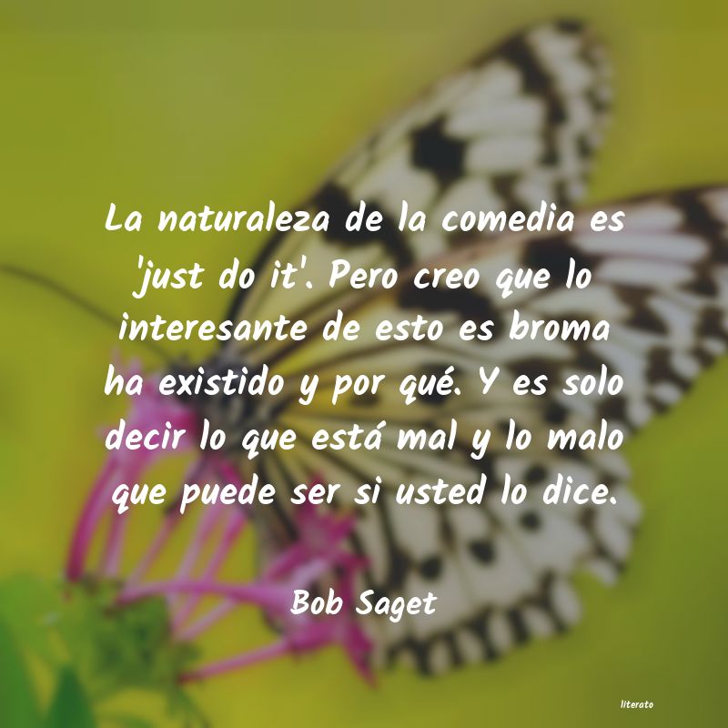 Frases de Bob Saget