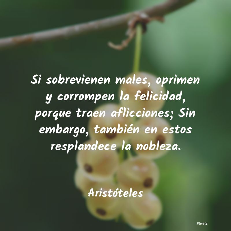 Frases de Aristóteles