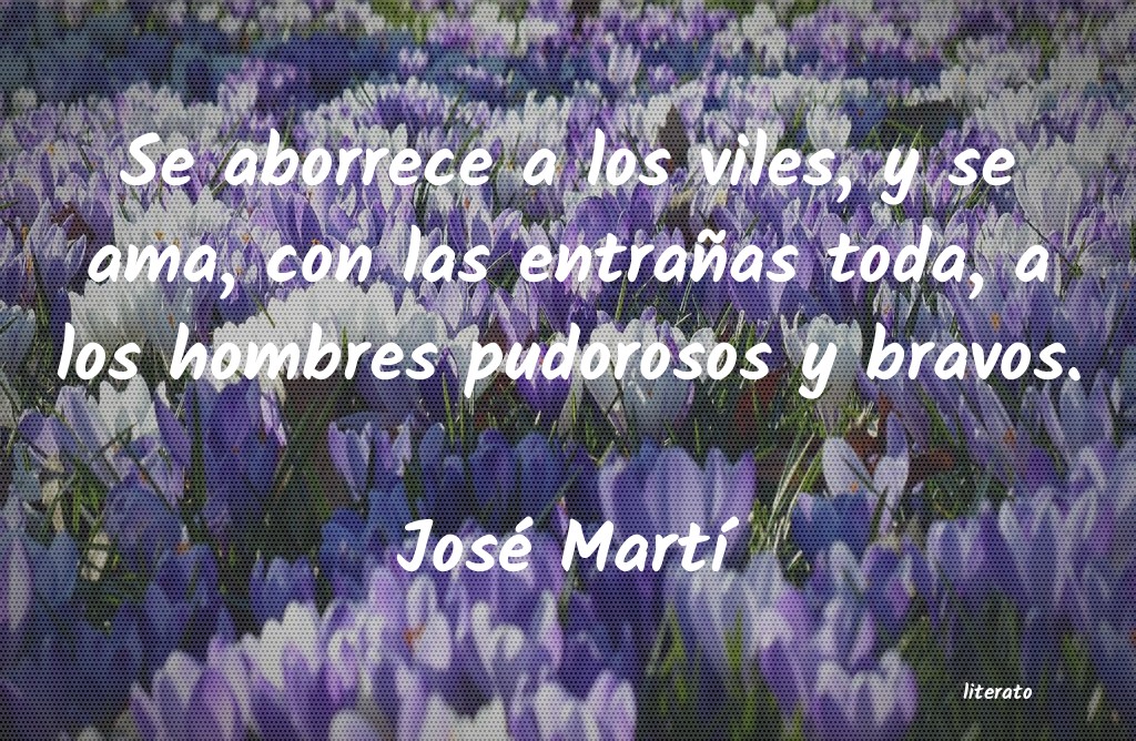 Frases de José Martí