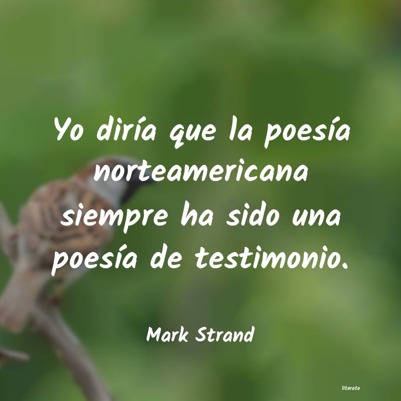 Frases de Mark Strand