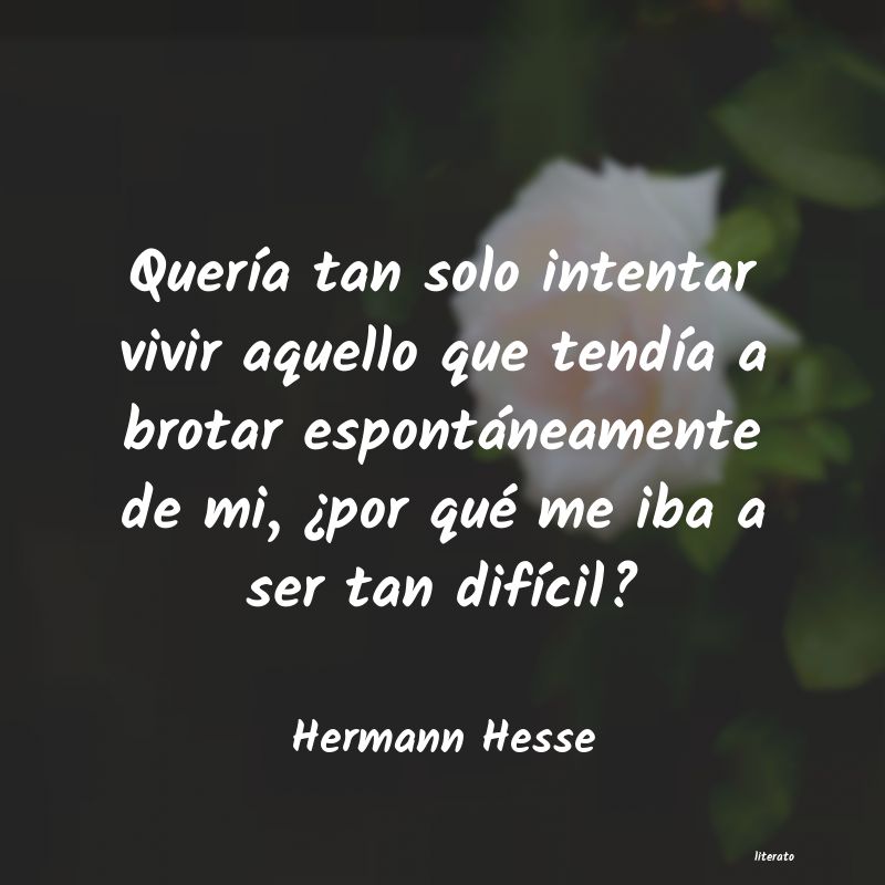frases de Hermann Hesse