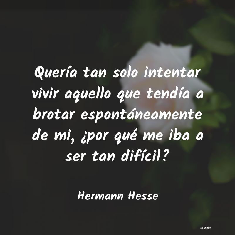 Frases de Hermann Hesse