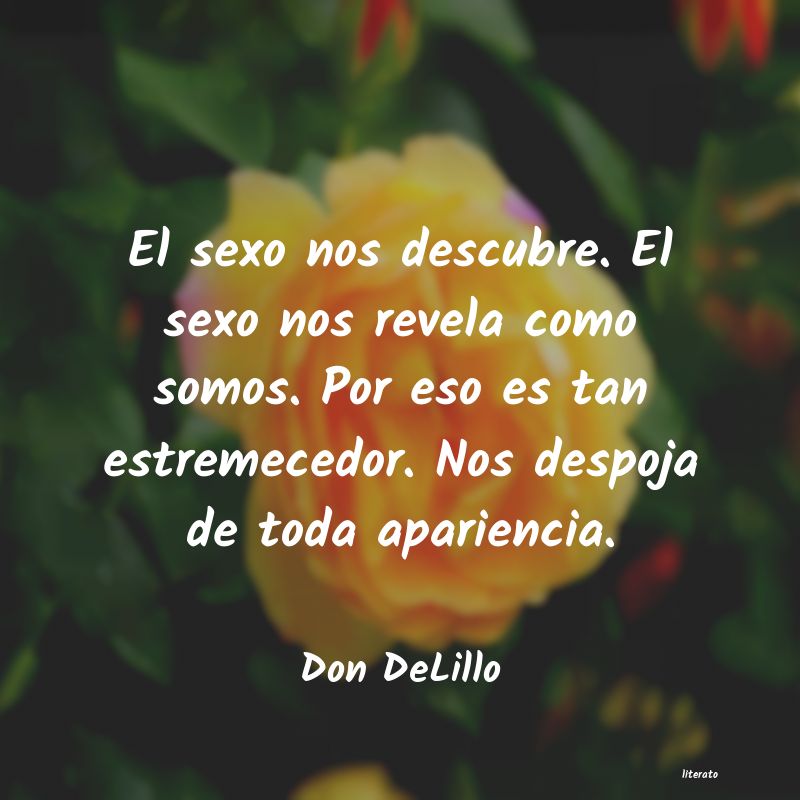 frases de Don DeLillo