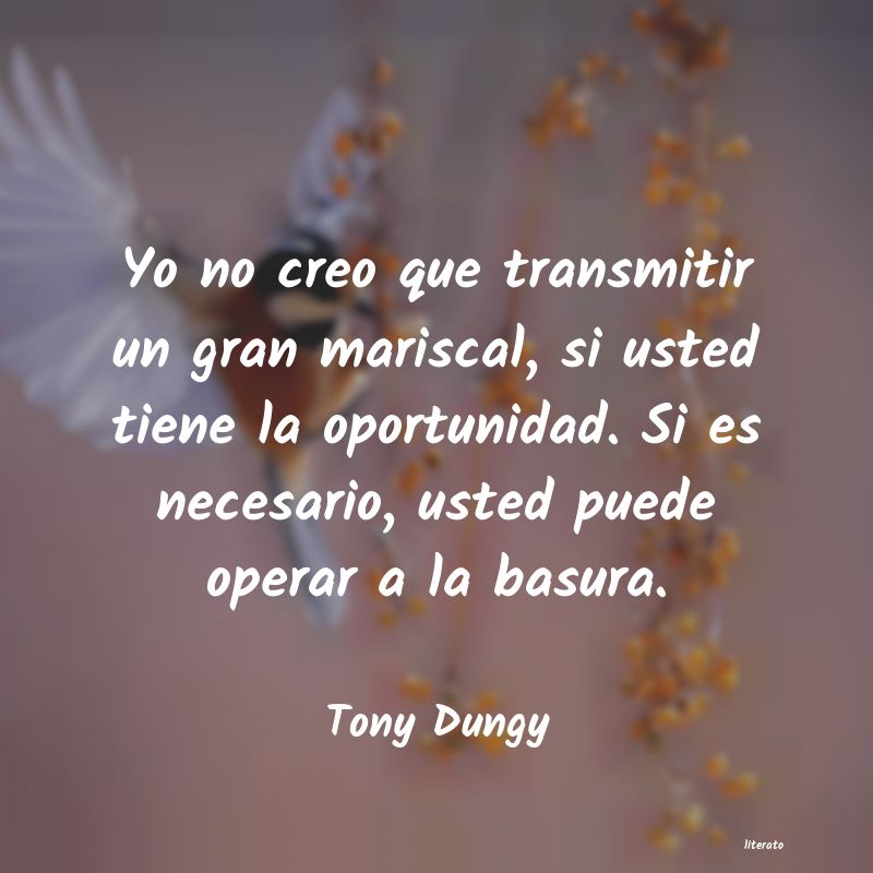Frases de Tony Dungy