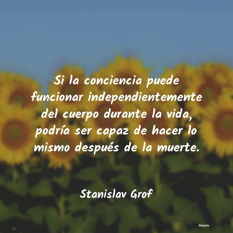 Frases de Stanislav Grof