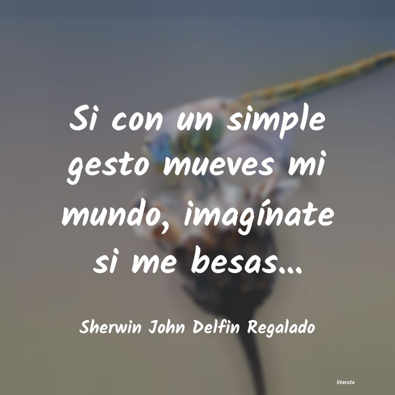 Frases de Sherwin John Delfin Regalado