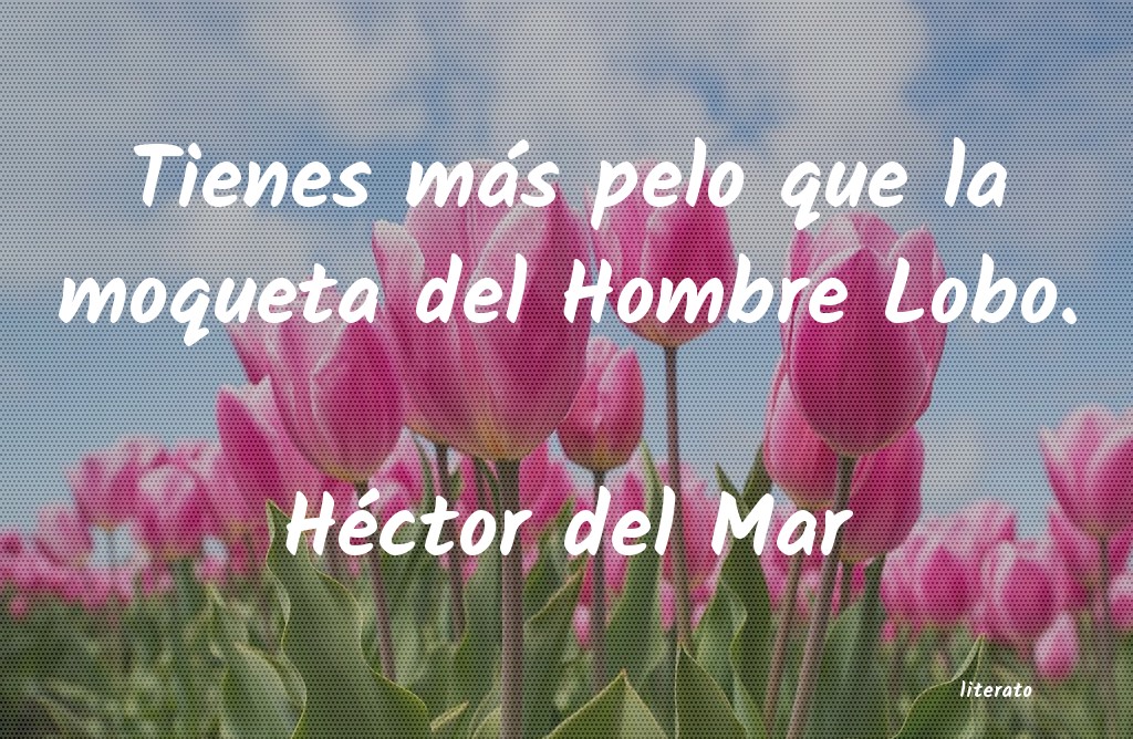 Frases de Héctor del Mar