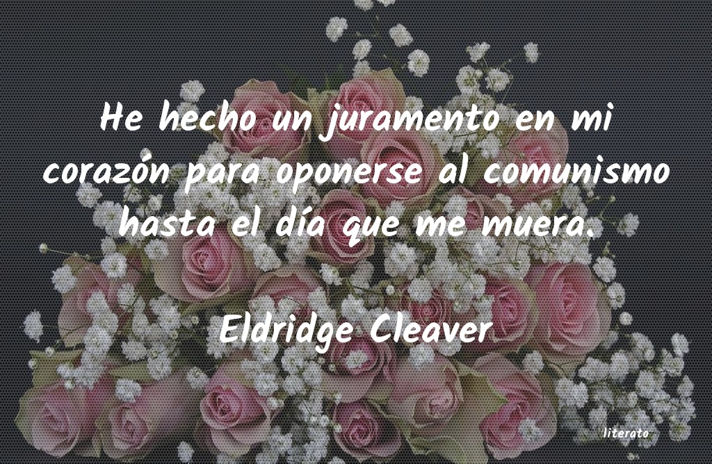 Frases de Eldridge Cleaver