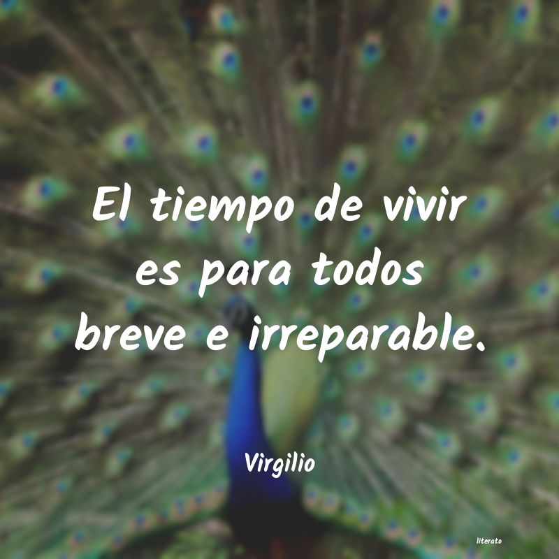 frases de Virgilio