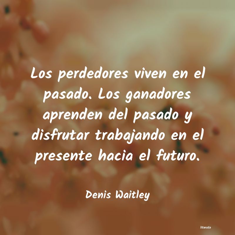 Frases de Denis Waitley