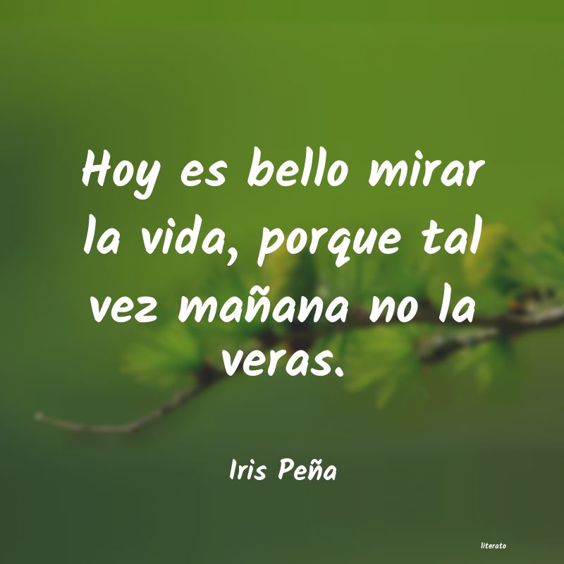 Frases de Iris Peña