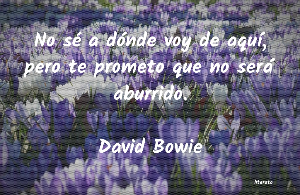 frases de David Bowie