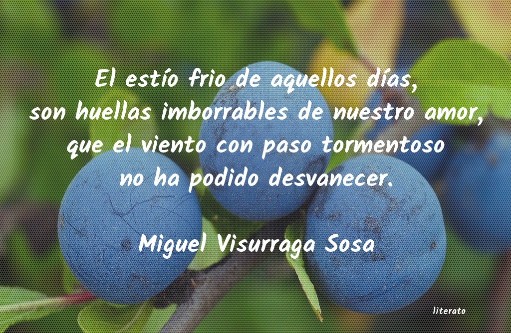 frases de Miguel Visurraga Sosa