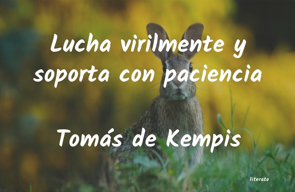 Frases de Tomás de Kempis