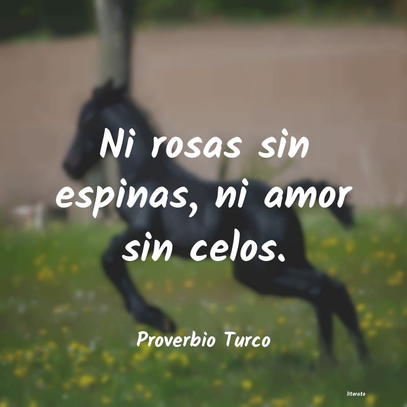 frases de Proverbio Turco