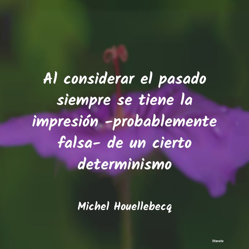 Frases de Michel Houellebecq