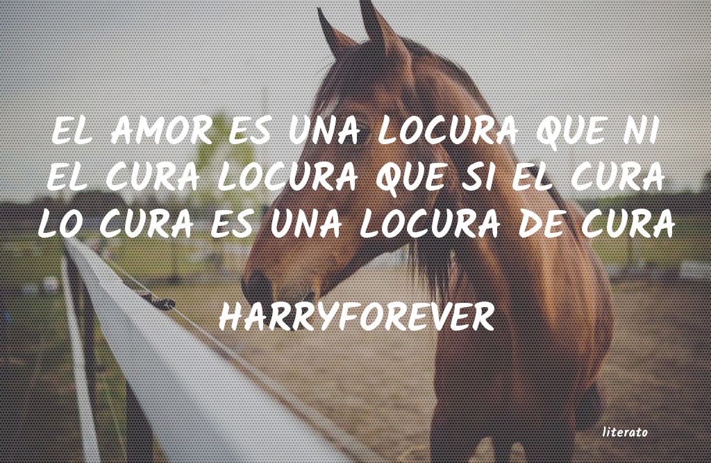 frases de HARRYFOREVER