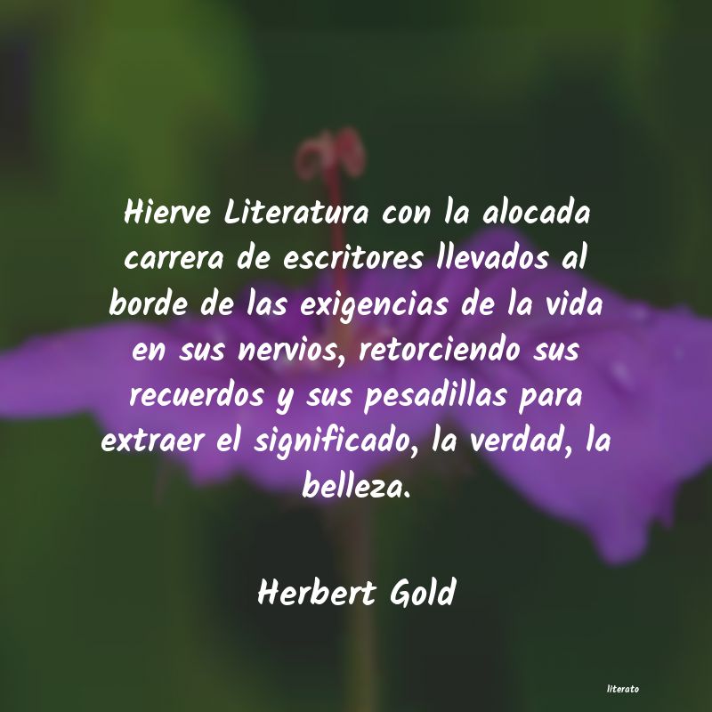 Frases de Herbert Gold