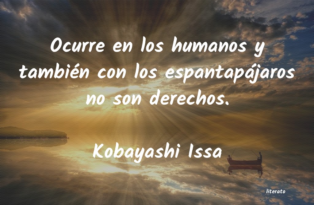 frases de Kobayashi Issa