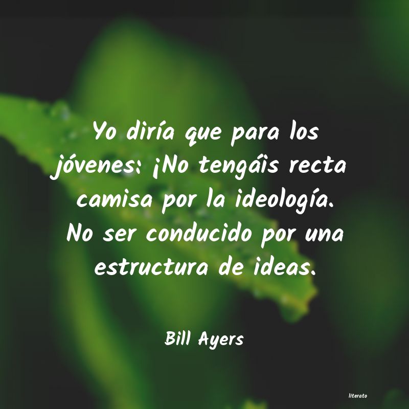 Frases de Bill Ayers
