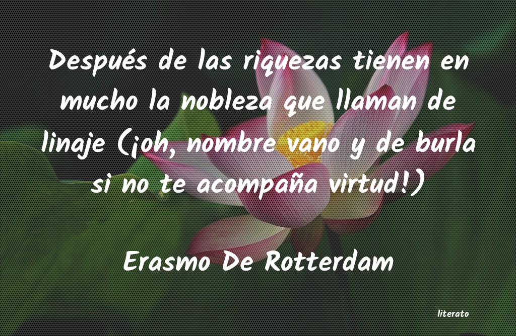 Frases de Erasmo De Rotterdam